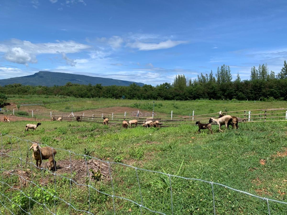 ฟาร์มแกะภูกระดึง Waraporn Valley Ban Nong Tum Екстериор снимка