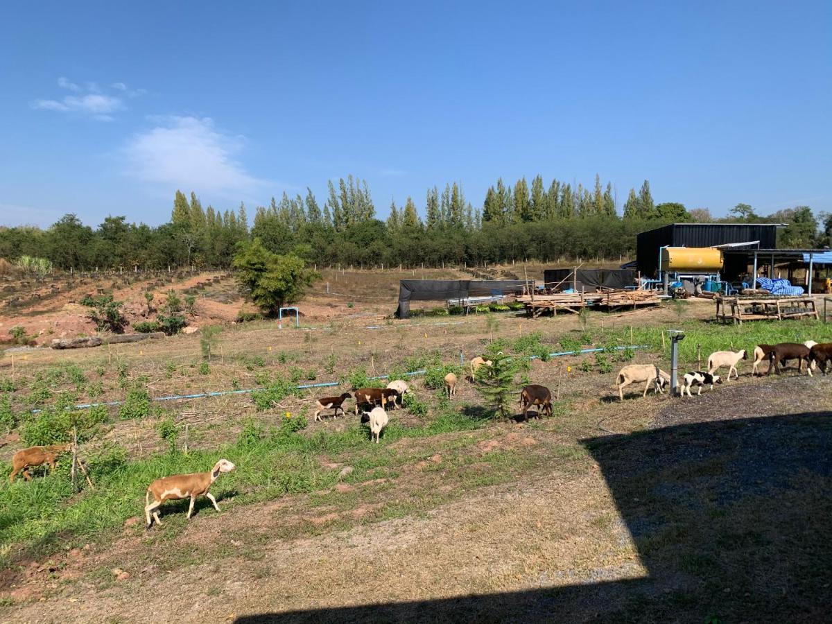 ฟาร์มแกะภูกระดึง Waraporn Valley Ban Nong Tum Екстериор снимка