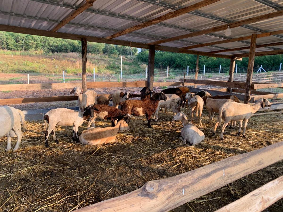 ฟาร์มแกะภูกระดึง Waraporn Valley Ban Nong Tum Екстериор снимка